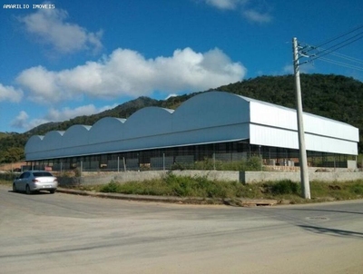 Depósito-Galpão, 6000 m² - Foto 1
