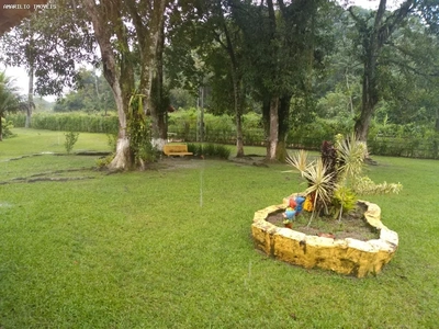 Fazenda-Sítio-Chácara, 15 hectares - Foto 4