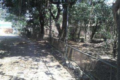 Terreno, 1717 m² - Foto 5