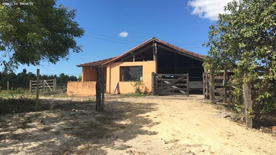 Fazenda-Sítio-Chácara, 252 hectares - Foto 2