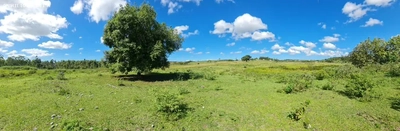 Fazenda-Sítio-Chácara, 252 hectares - Foto 1