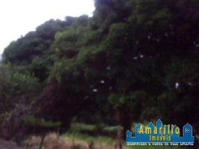 Sítio, 2 hectares - Foto 4