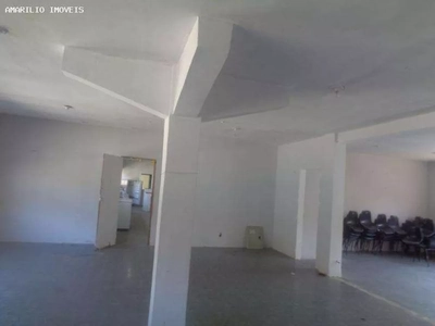 Sítio, 2 hectares - Foto 2