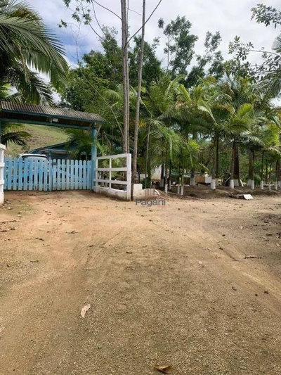 Sítio, 3 quartos, 7000 m² - Foto 3