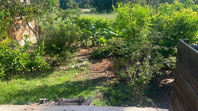 Sítio, 2 quartos, 1000 m² - Foto 4