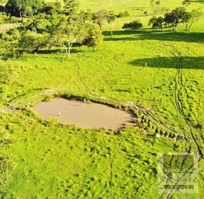 Fazenda, 605 hectares - Foto 4
