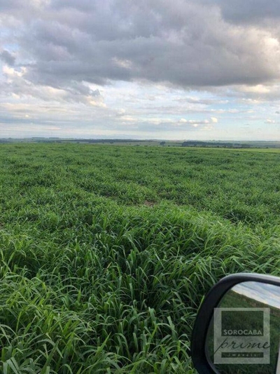 Fazenda-Sítio-Chácara, 2614 hectares - Foto 1