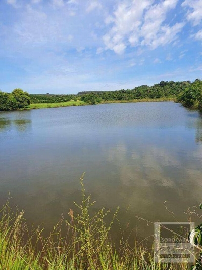 Fazenda-Sítio-Chácara, 324 hectares - Foto 3