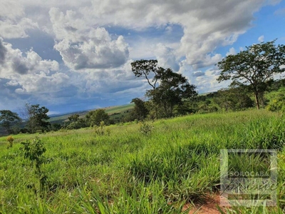 Fazenda-Sítio-Chácara, 1021 hectares - Foto 1