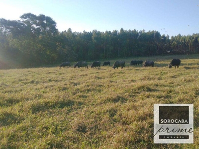 Fazenda-Sítio-Chácara, 27 hectares - Foto 5