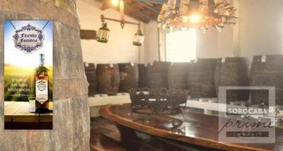 Fazenda-Sítio-Chácara, 486 hectares - Foto 2