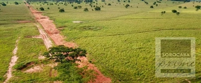 Fazenda, 4722 hectares - Foto 4