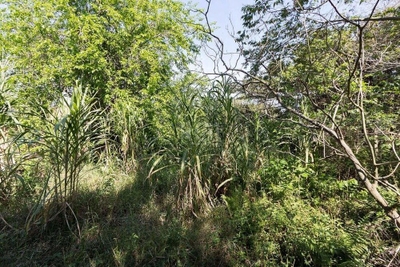 Terreno, 345 m² - Foto 4