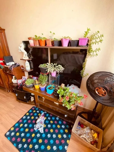 Apartamento, 3 quartos, 67 m² - Foto 1