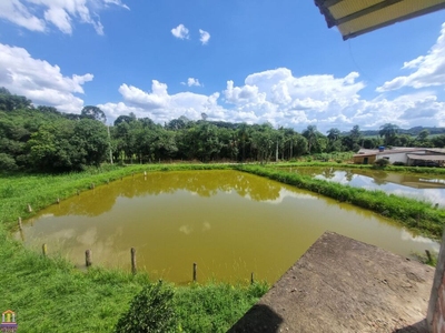 Chácara, 4 quartos, 2 hectares - Foto 1