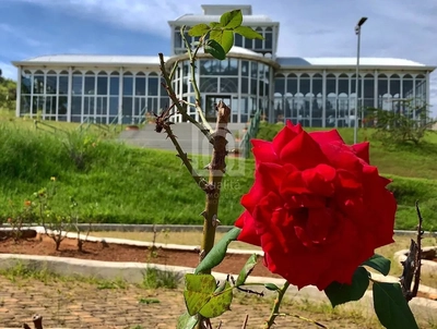 Depósito-Galpão - Foto 4