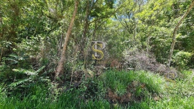 Terreno, 1000 m² - Foto 1