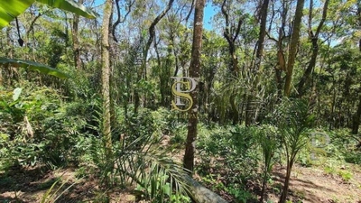 Terreno, 1000 m² - Foto 3