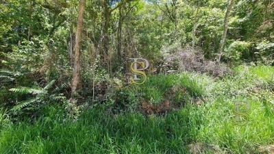 Terreno, 1000 m² - Foto 4