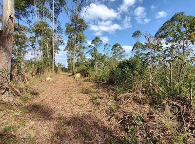 Terreno, 21 hectares - Foto 3