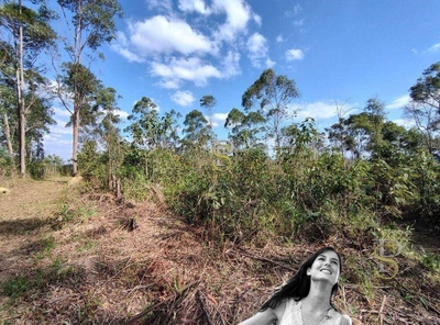 Terreno, 21 hectares - Foto 2