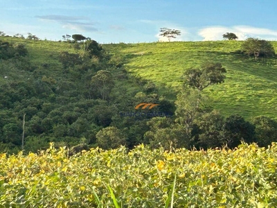 Fazenda-Sítio-Chácara, 140 hectares - Foto 3
