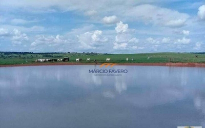 Fazenda-Sítio-Chácara, 842 hectares - Foto 3
