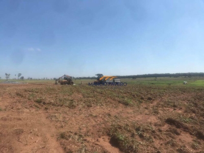 Fazenda-Sítio-Chácara, 1353 hectares - Foto 4