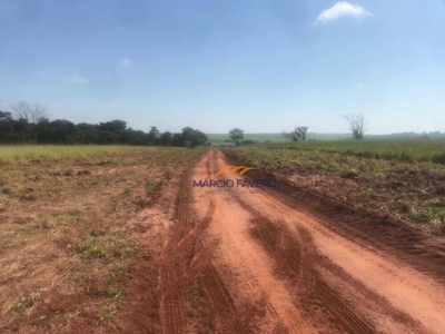 Fazenda-Sítio-Chácara, 1353 hectares - Foto 1