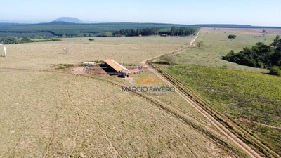 Fazenda-Sítio-Chácara, 261 hectares - Foto 5