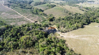 Fazenda-Sítio-Chácara, 261 hectares - Foto 3