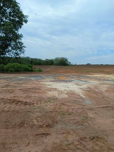Fazenda-Sítio-Chácara, 218 hectares - Foto 2