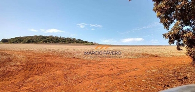 Fazenda-Sítio-Chácara, 736 hectares - Foto 1