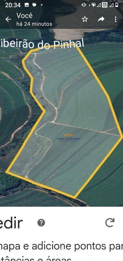 Sítio, 41 hectares - Foto 4