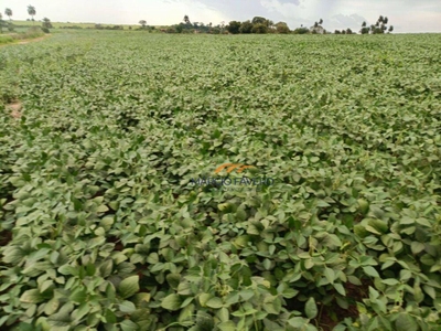 Fazenda-Sítio-Chácara, 140 hectares - Foto 4