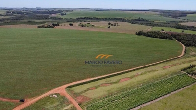 Fazenda-Sítio-Chácara, 121 hectares - Foto 1