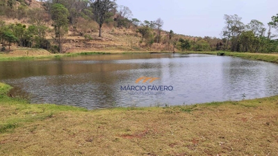 Fazenda-Sítio-Chácara, 86 hectares - Foto 4