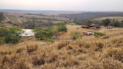 Fazenda-Sítio-Chácara, 86 hectares - Foto 1