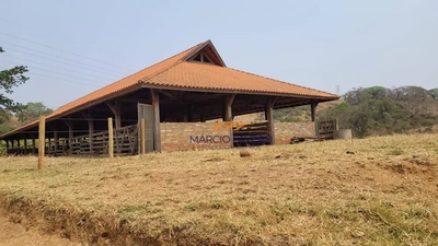 Fazenda, 86 hectares - Foto 3