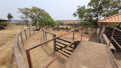 Fazenda-Sítio-Chácara, 86 hectares - Foto 2