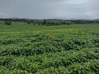 Fazenda-Sítio-Chácara, 235 hectares - Foto 2