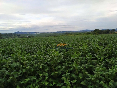 Fazenda-Sítio-Chácara, 235 hectares - Foto 5