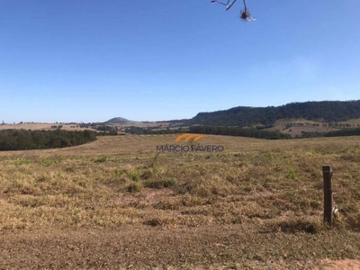 Fazenda-Sítio-Chácara, 145 hectares - Foto 3