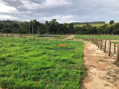 Sítio, 61 hectares - Foto 3