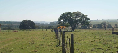 Fazenda-Sítio-Chácara, 135 hectares - Foto 3