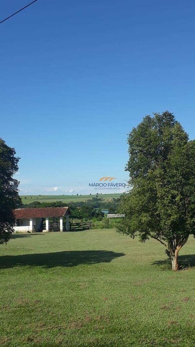 Sítio, 56 hectares - Foto 3