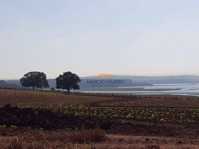 Sítio, 56 hectares - Foto 1