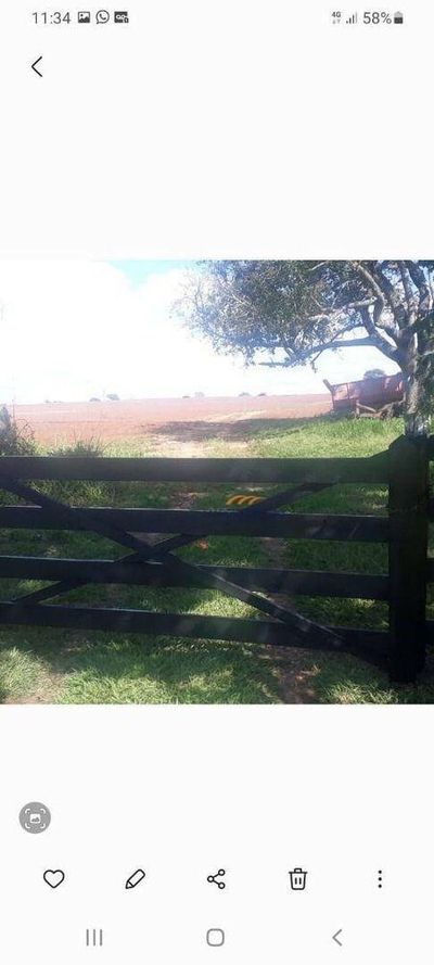 Sítio, 56 hectares - Foto 2