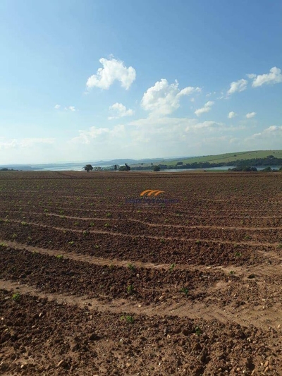 Sítio, 56 hectares - Foto 5