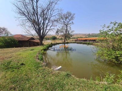 Fazenda-Sítio-Chácara, 230 hectares - Foto 2